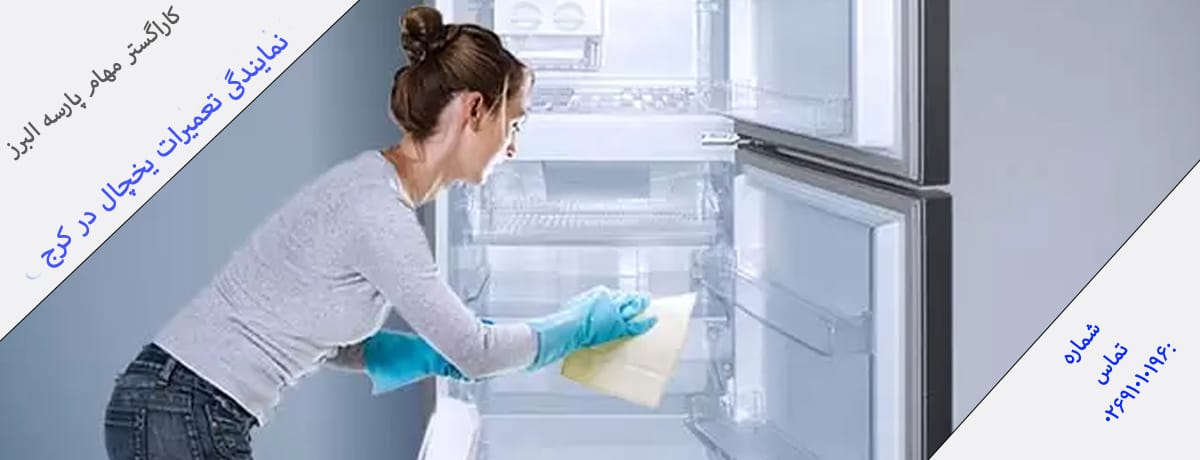 1. معرفی یخچال‌های سیلور هاوس و ویژگی‌های آن‌ها | نمایندگی تعمیرات یخچال سیلور هاوس در کرج